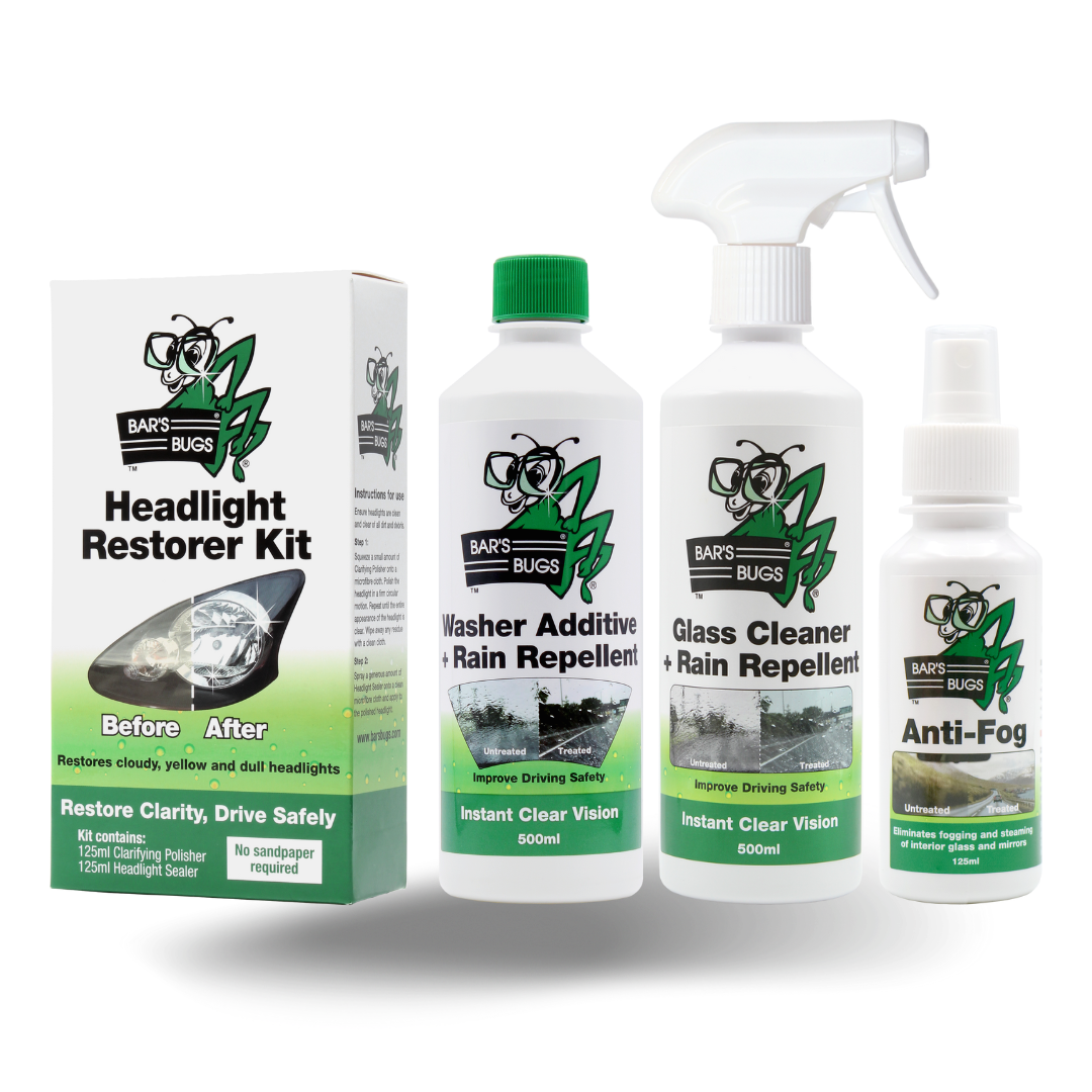 Winter Essentials 4pc Car Cleaning Kit